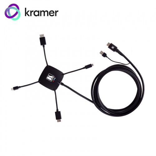 Kramer Multi-format Input to HDMI Adapter Cable
