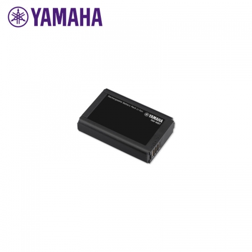 Yamaha Replacement Battery to suit RM-WDR / WOM / WGL / WGS