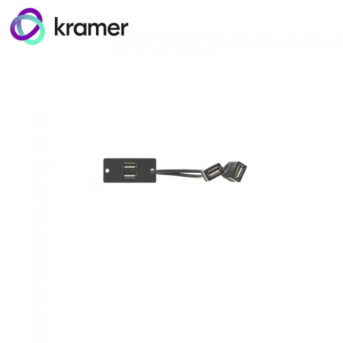 Kramer 2x USB Wall Plate Insert - Black